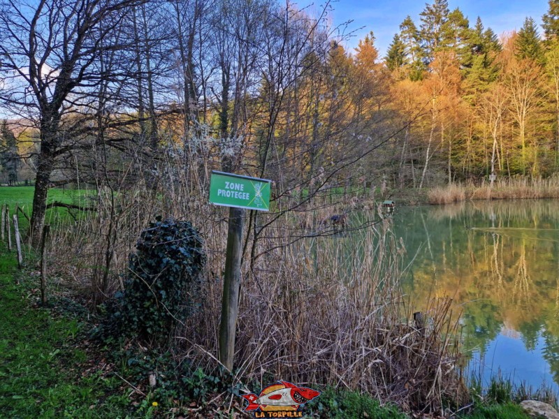 L'étang se trouve dans un site naturel protégé.