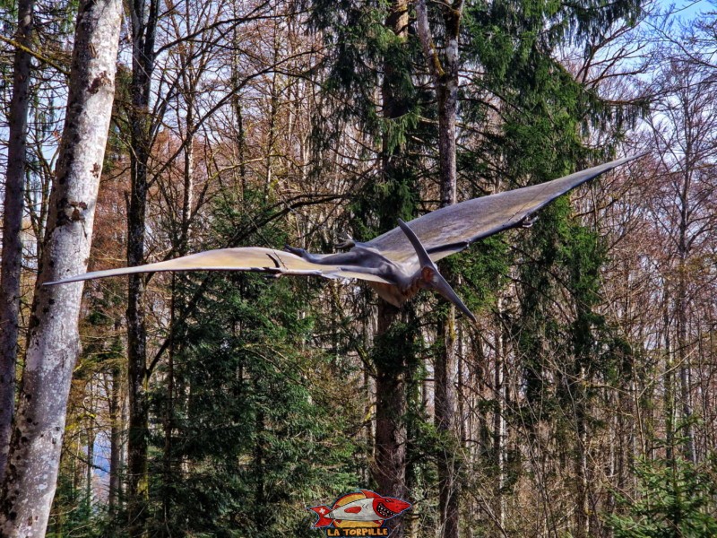 Un dinosaure volant accroché aux arbres. Préhisto-Parc Réclère.