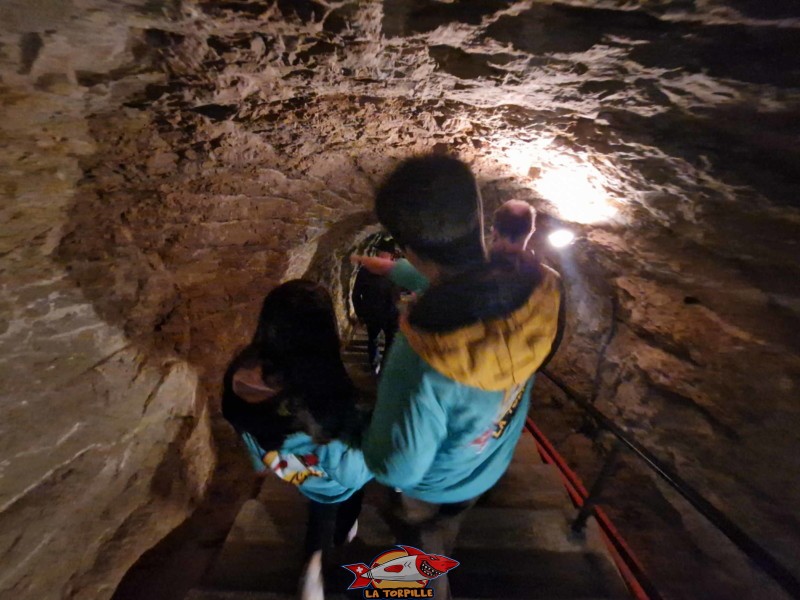Le tunnel d'accès. Grottes de Réclère