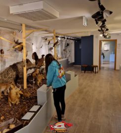 🐎🍁 Jurassica Museum – Porrentruy