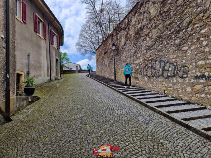 Le chemin entre les serres et le jardin botanique.