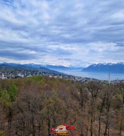 🚤🗼🐐 Parc, Lac, Tour et Mini-Zoo de Sauvabelin – Lausanne