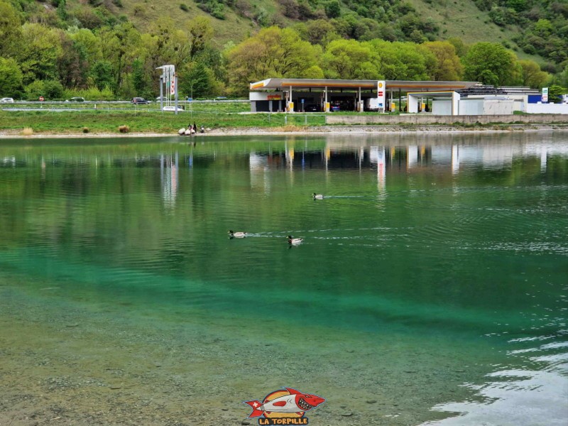 Des canards sur les eaux vertes du lac avec la station service en arrière-plan. Gouille du Rosel