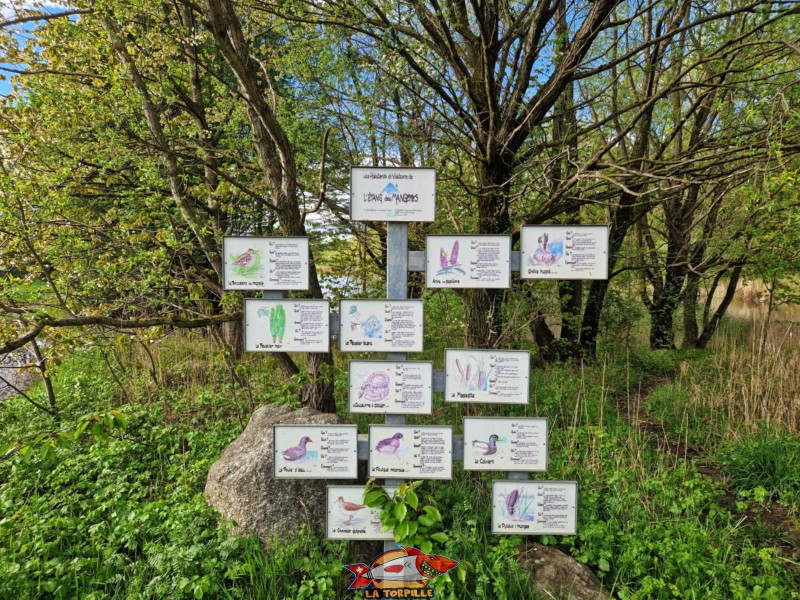 Des panneaux d'information sur la faune et la flore de l'étang des Mangettes. Étang des Mangettes.