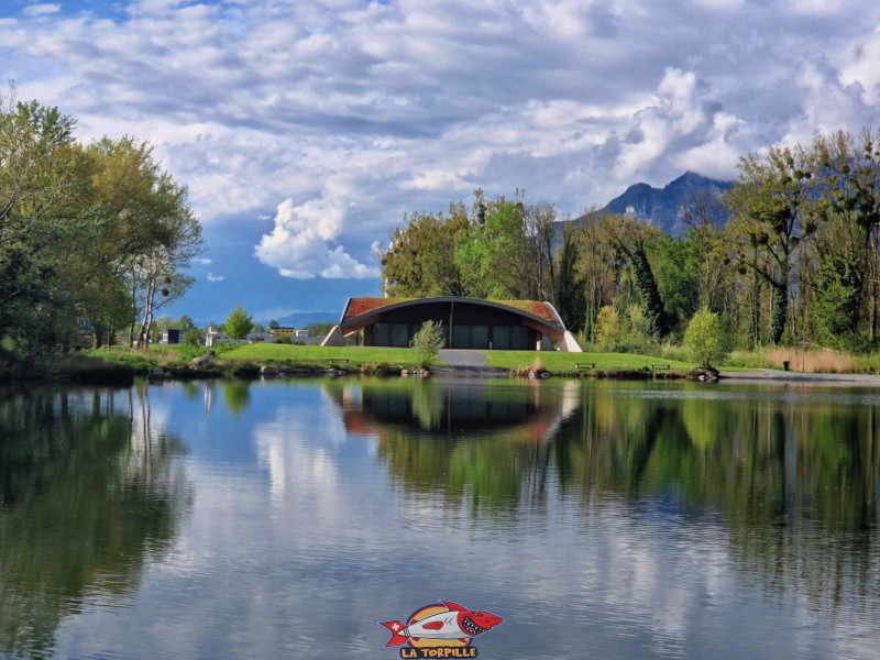 Le pavillon des Mangettes depuis le ponton. Étang des Mangettes.