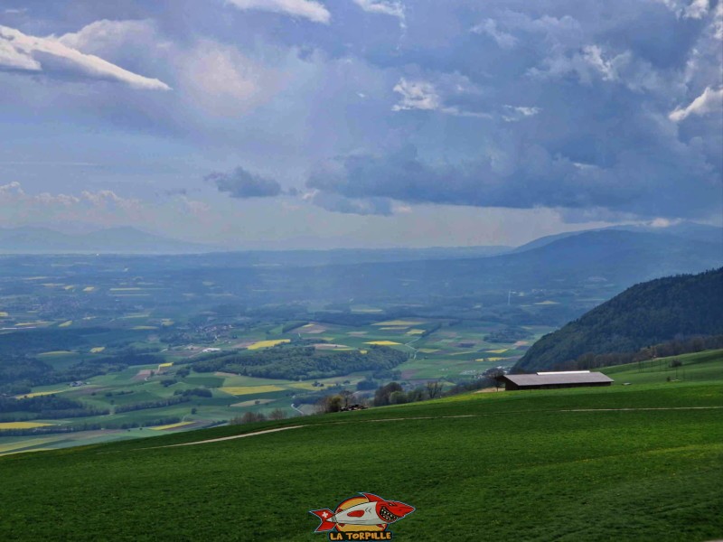 Vue direction sud-ouest. Les contreforts du Jura vaudois. Au loin, la région de Genève. tour panoramique de la Grand'Vy bullet