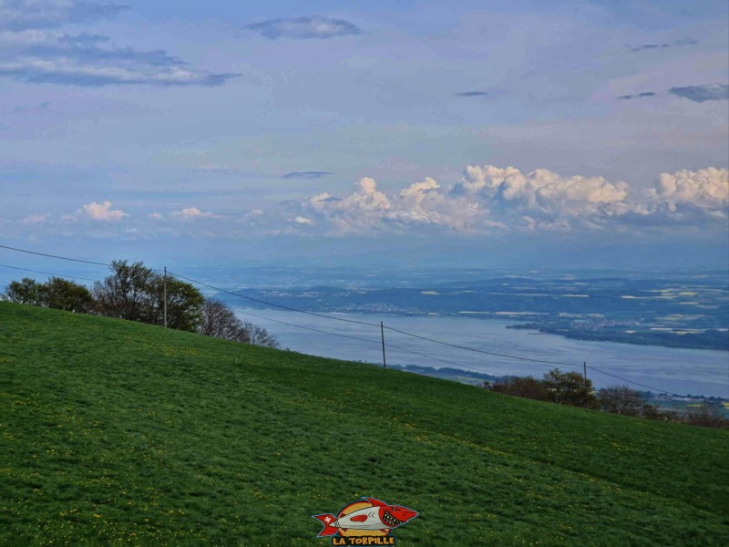 Vue direction est. La région de la Broye. Le lac de Neuchâtel. tour panoramique de la Grand'Vy bullet