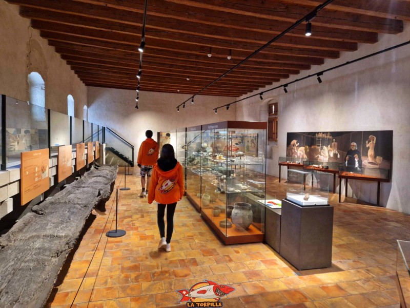 Néolithique et âge du Bronze. musée yverdon et région