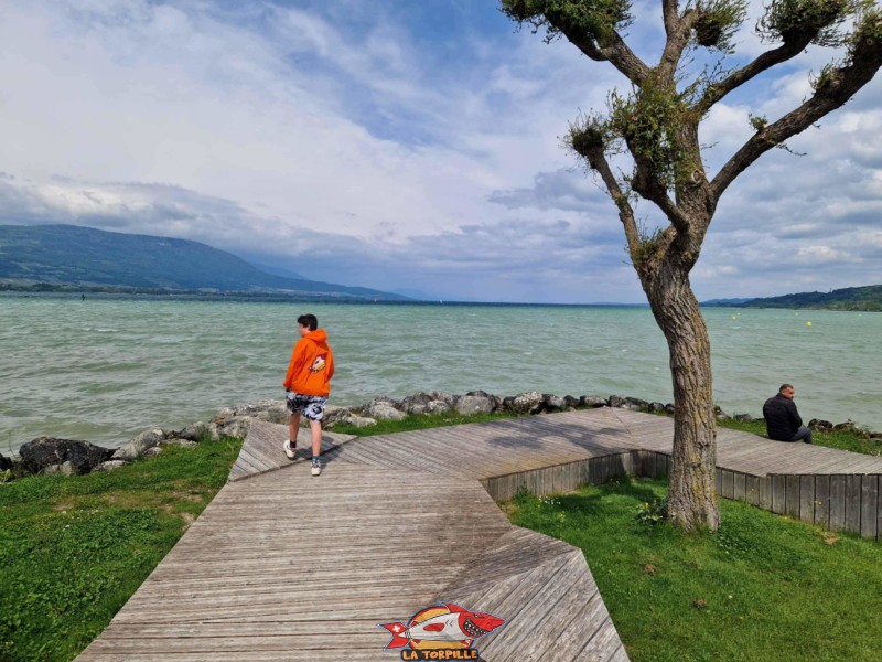 Le lac de Neuchâtel depuis le club Y-Plage.