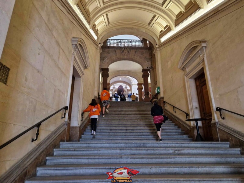 Les escaliers à l'intérieur du Palais de Rumine, les musées occupent les deux ailes du bâtiment.
