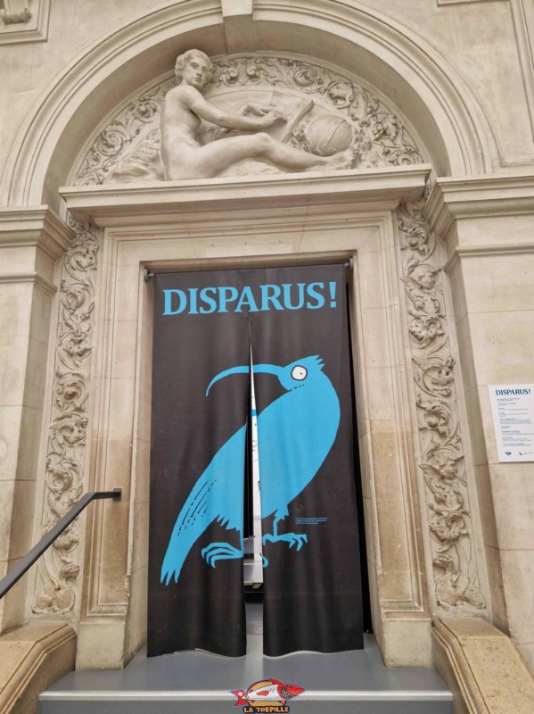 L'entrée de la salle des expositions temporaires au bout de l'aile nord.