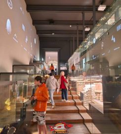 🏠🏺 Musée Cantonal d’Archéologie et d’Histoire de Lausanne