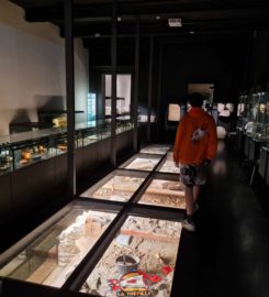 🏠🏺 Musée Cantonal d’Archéologie et d’Histoire de Lausanne