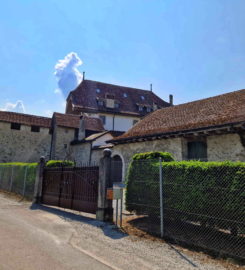 🏰 Château de Corbières