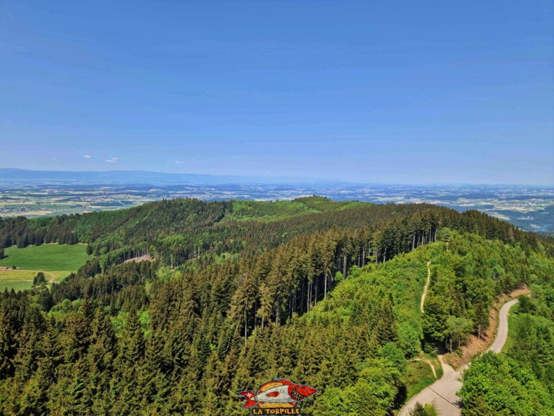 Vue nord, terrasse panoramique antenne Mont-Gibloux