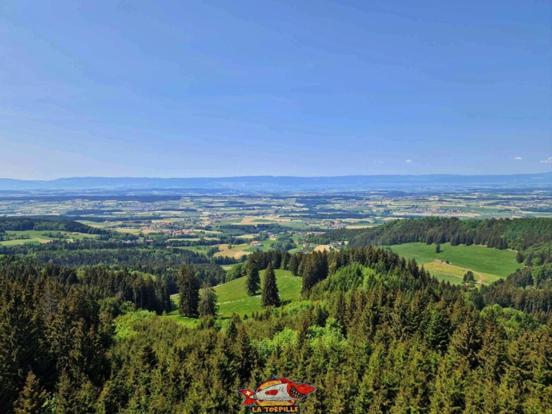 Vue nord, nord-ouest, terrasse panoramique antenne Mont-Gibloux