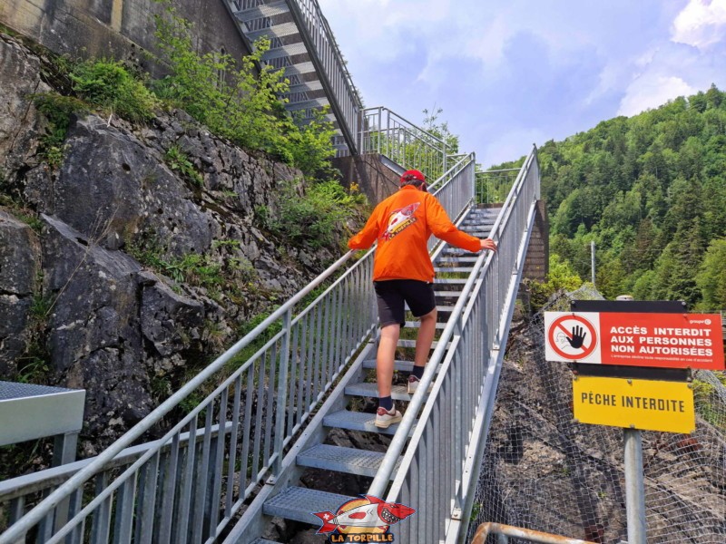L'escalier qui permet de rejoindre le flanc sud du lac. lac du Vernex, Rossinière, Pays d'Enhaut.