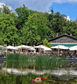 🚤🗼🐐 Parc, Lac, Tour et Mini-Zoo de Sauvabelin – Lausanne