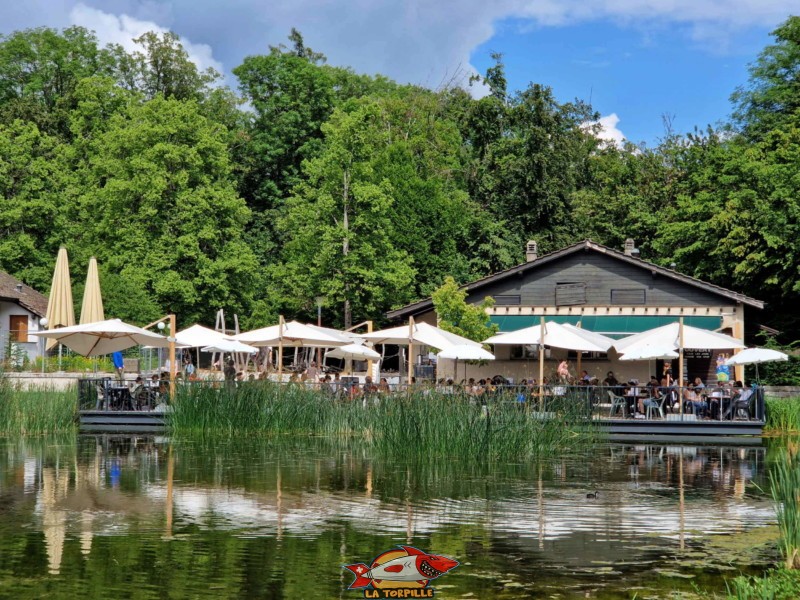 La terrasse au bord du lac.