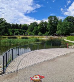 🚤🗼🐐 Parc, Lac, Tour et Mini-Zoo de Sauvabelin – Lausanne