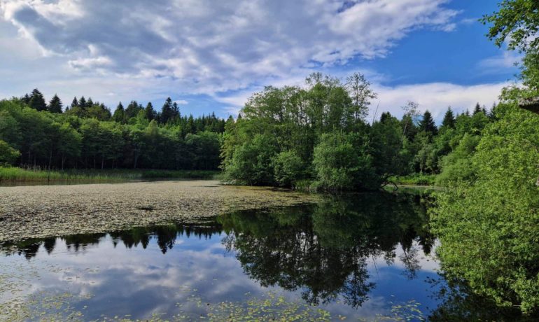 🚤 Étang de la Bressonne – Chalet-à-Gobet