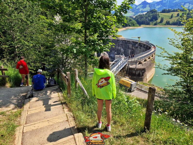 La zone de pique-nique avec des tables et des coins de barbecue en hauteur du bord ouest du barrage de Montsalvens.