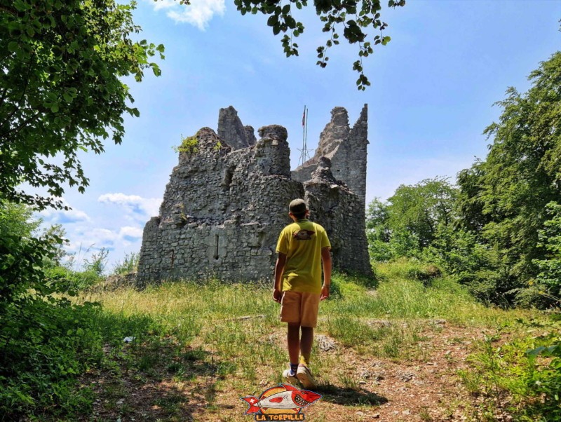 Les ruines château de Montsalvens en fin de parcours.