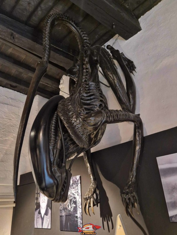 Une créature "alien" à pattes accrochée au mur de la boutique.