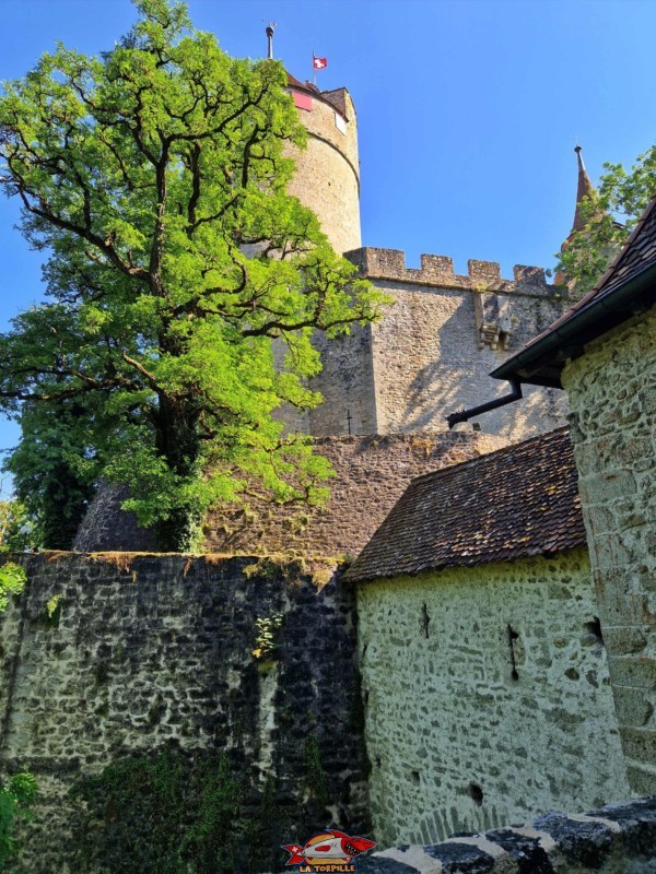 Les vues sur le château de Lucens depuis l'est, au niveau de l'entrée.