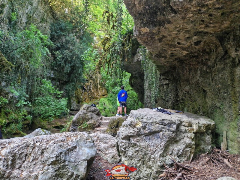Les rochers au pied de la paroi rocheuse au niveau où la Venoge quitte la Tine de Conflens.