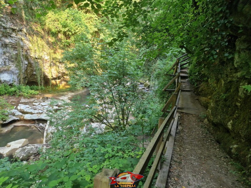 Le chemin entre la paroi rocheuse et la rivière la Venoge.