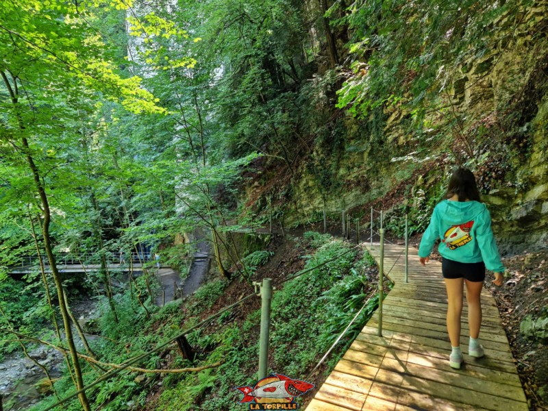 Le parcours a été complètement renové en 2023. Gorges du chauderon, Montreux.