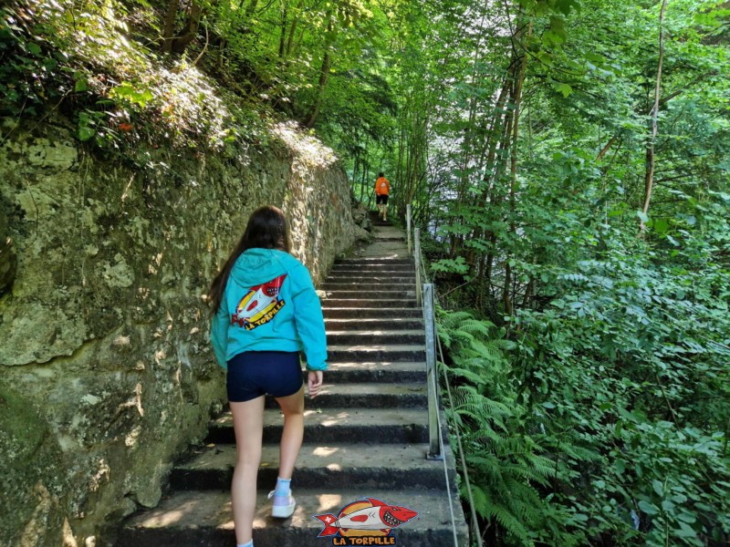 Un long escalier qui permet de prendre de la hauteur par rapport au lit de la rivière. Gorges du chauderon, Montreux.
