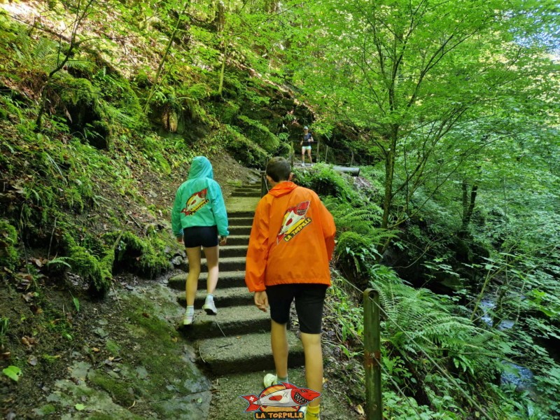 Encore une serie d'escaliers ! Gorges du chauderon, Montreux.