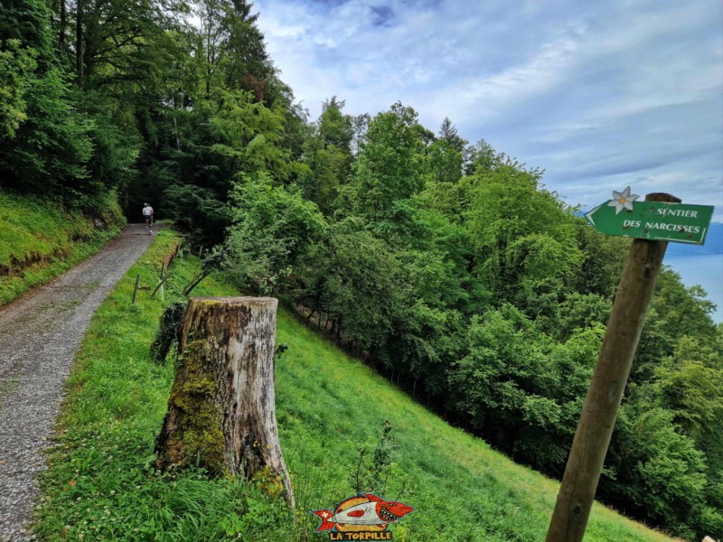 La route en gravier grimpe jusqu'au village de Glion. Gorges du chauderon, Montreux.