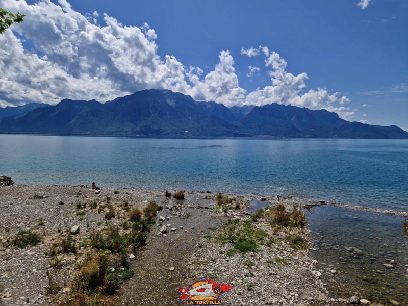 La Baye de Clarens se jette dans le Léman.