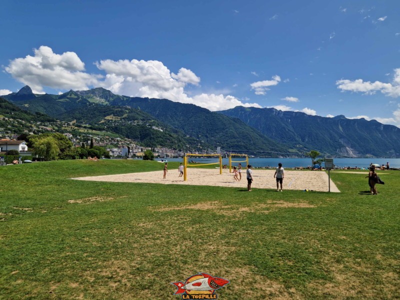 Les deux terrains de volley dans la zone herbeuse, plage du pierrier, montreux