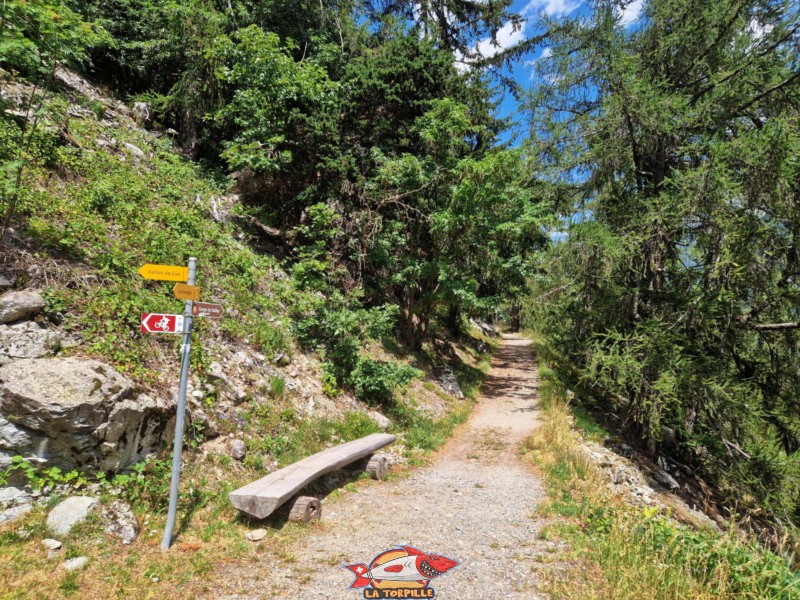 Le début du sentier.