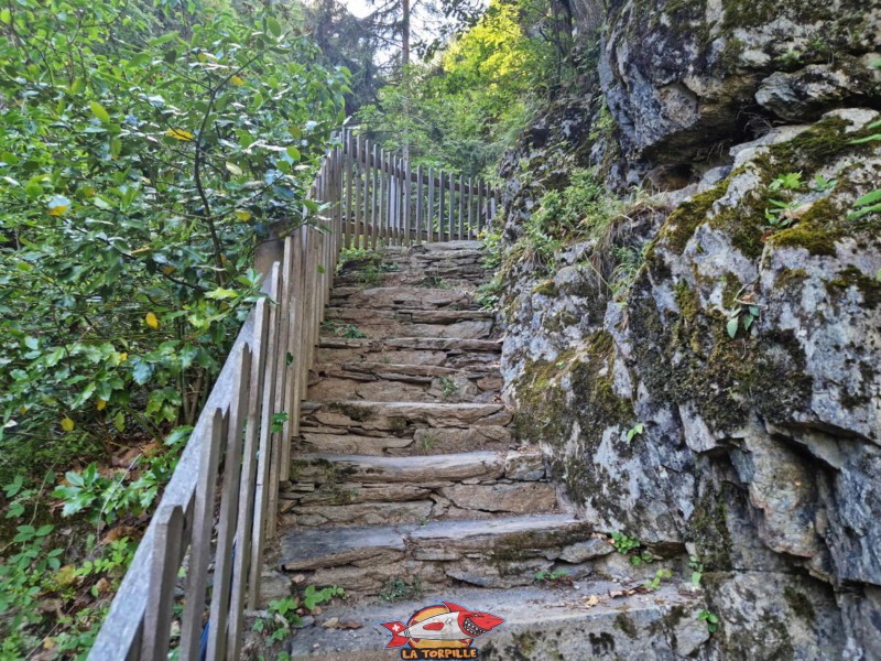 Un escalier sur la première partie de la remontée des gorges, rive gauche (nord).