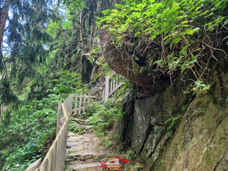 Après la passerelle, le chemin grimpe pour prendre de la hauteur par rapport au lit de la rivière.