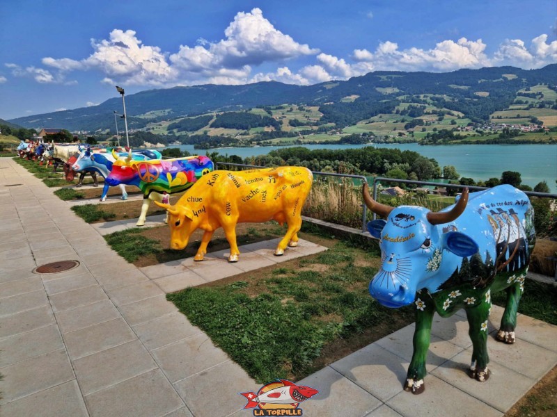 Les vaches colorées de sortie au restoroute de la Gruyère.
