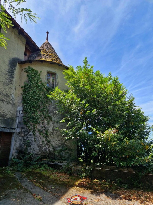 Remparts, côté nord. château du châtelard, montreux