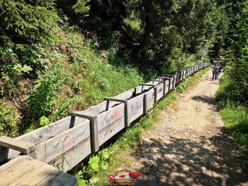 Le bisse du trient ici canalisé.