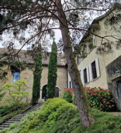 ⛪🏰 Monastère de Collombey | Château d’Arbignon