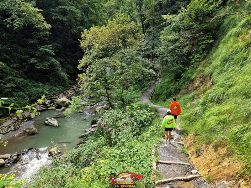 Montée dans les gorges de la Vièze, monthey