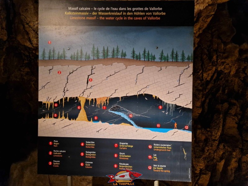 Les différentes structures naturelles que l'on peut trouver dans les grottes de Vallorbe.
