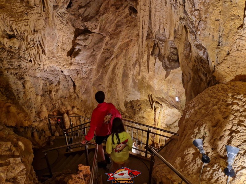 Un chemin serpente entre les différentes salles des grottes de Vallorbe.