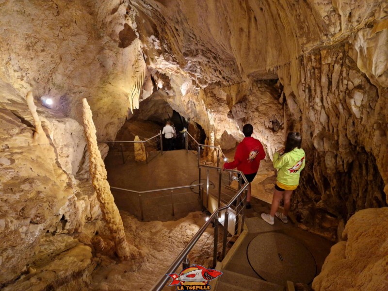Un chemin serpente entre les différentes salles des grottes de Vallorbe.