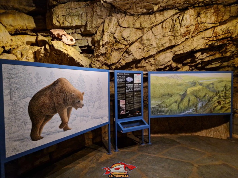 Plusieurs panneaux d'information au début des grottes fournissent des informations sur les paysages de la région formés par la roche calcaire.