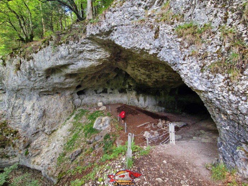 L'entrée de la grotte. Elle mesure une vingtaine de mètres de longueur pour un peu moins de dix mètres de hauteur.